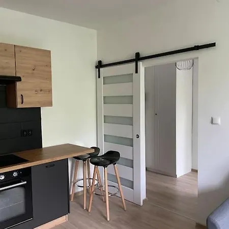 Sokolska Apartment *